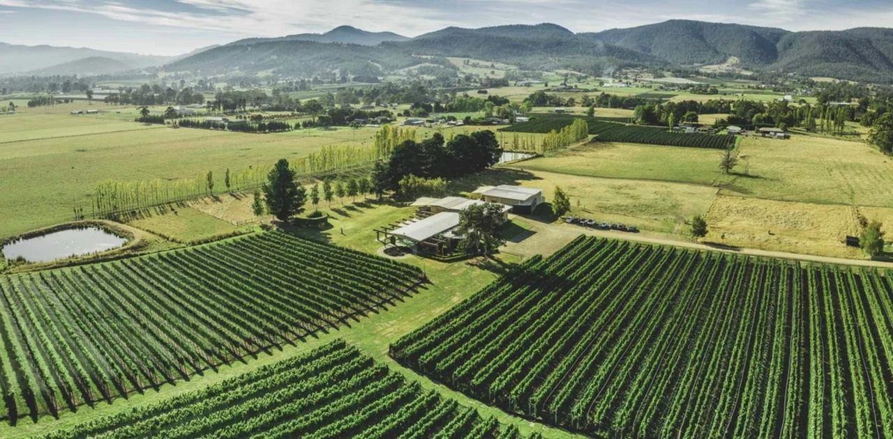 Home Hill Winery